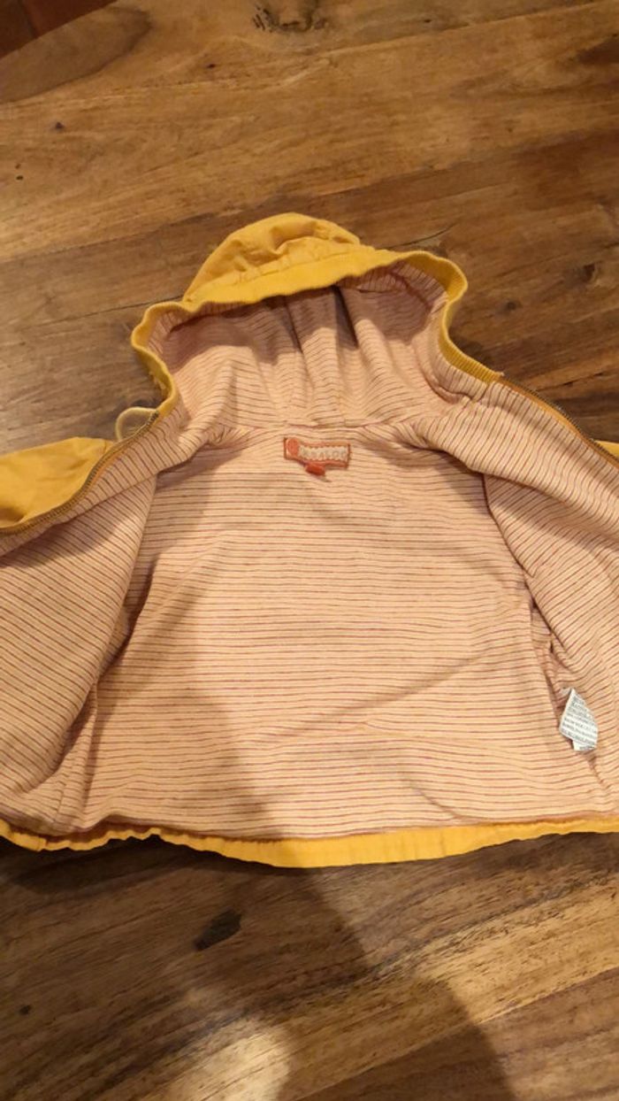 Veste 1 an - photo numéro 5