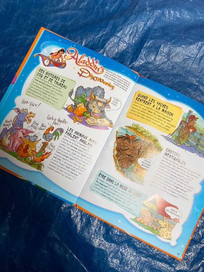 Livre magic English 22 country life - photo numéro 6