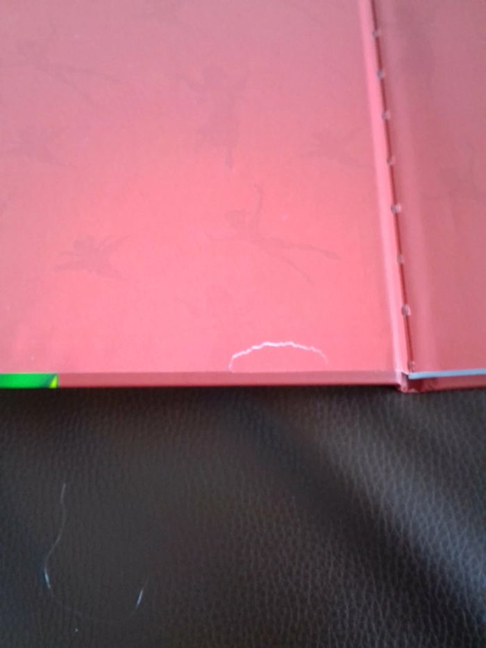 Livre Peter Pan - photo numéro 2