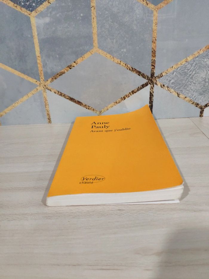 Livre grand format Avant que j'oublie Anne Pauly - photo numéro 2