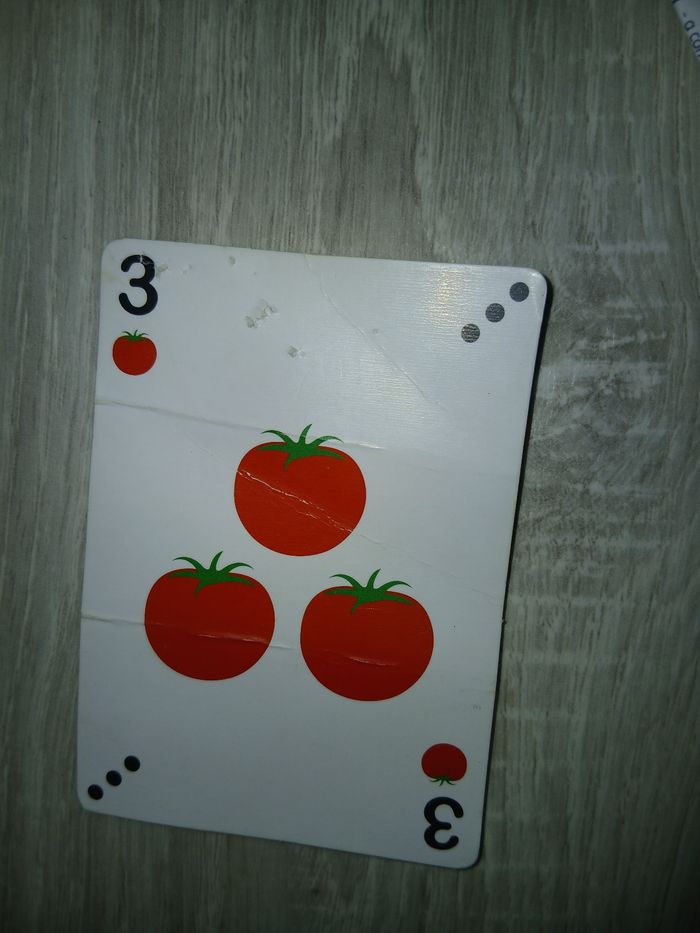 Jeux de société 1er age - photo numéro 4