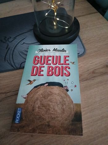 LIVRE GUEULE DE BOIS DE OLIVIER MAULIN