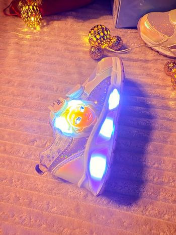 Frozen reine des neiges