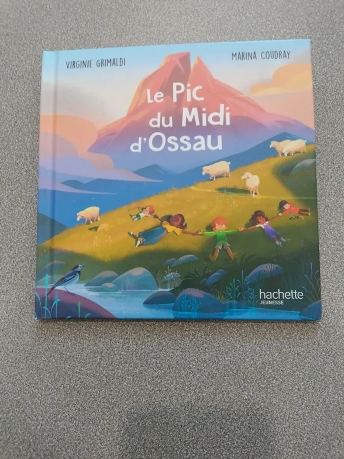 Divers livre enfants - photo numéro 6