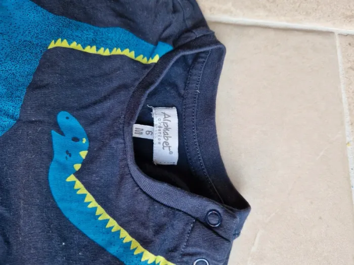 Lot 8 tee shirt garçon 6 mois - photo numéro 7