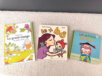 Lot 3 livres le grand voyage / le + bô / les petites bêtises