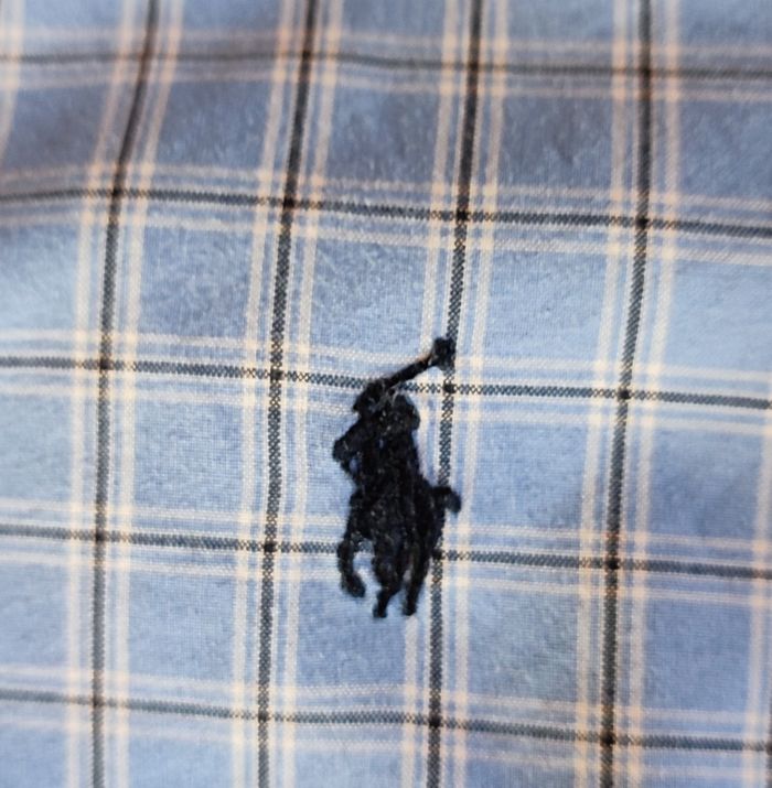 Chemise Ralph Lauren 6 ans. - photo numéro 2