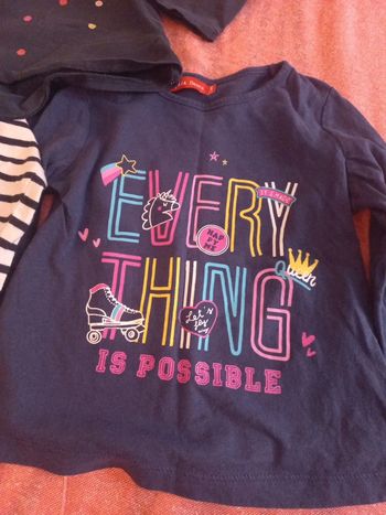 Joli pull fin t-shirt manches longues rigolo, 3 a 4 ans