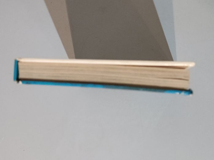 Le monde sous marin - photo numéro 7