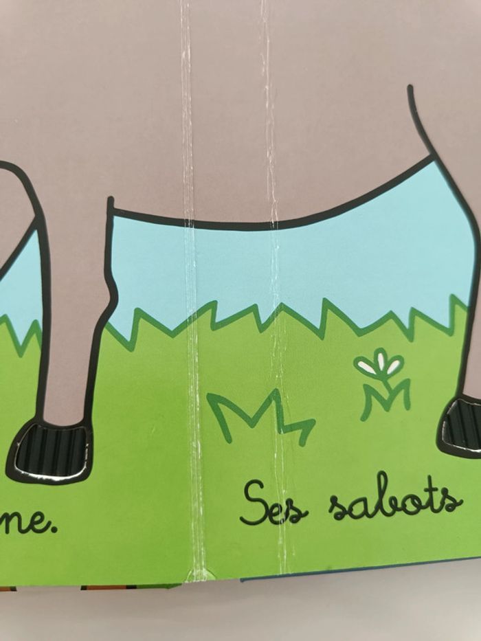 Où est mon âne ? - photo numéro 5