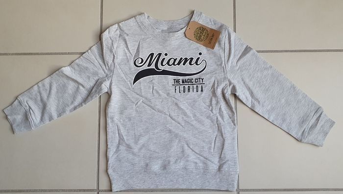 Sweat Gris 6Ans