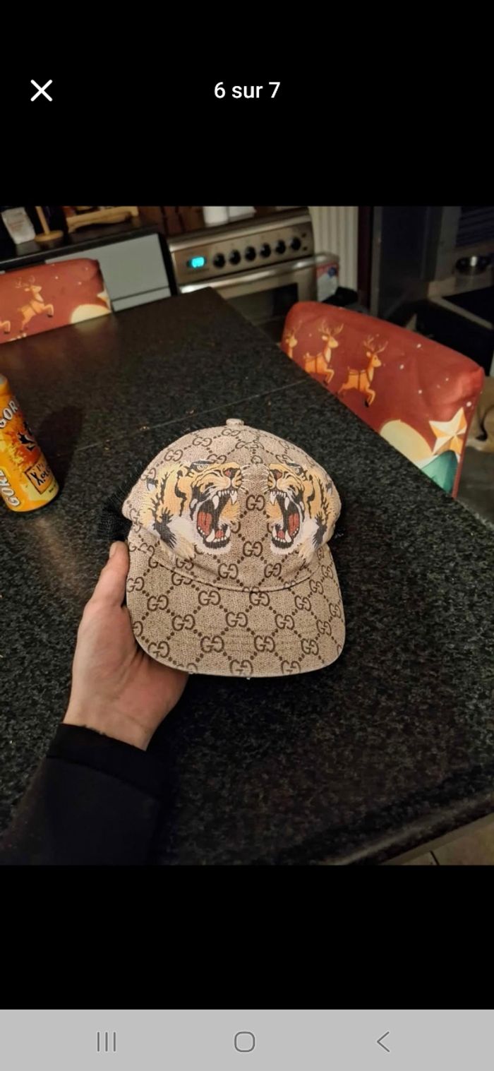 Tigre - photo numéro 6