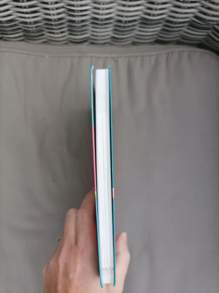 Livre "au pays des lamas : c est toi les héros" - photo numéro 3