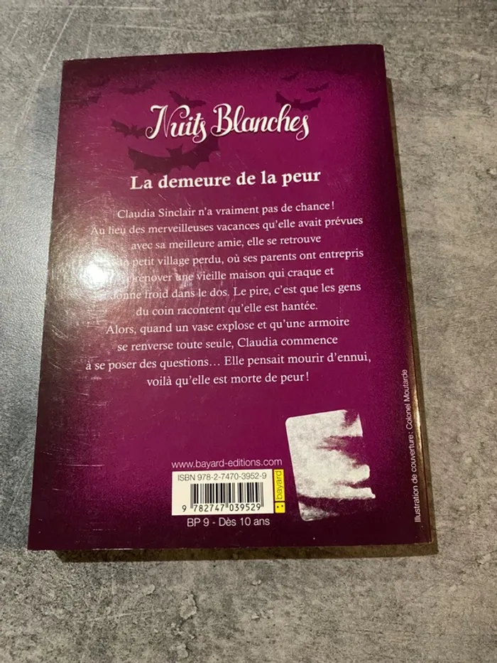 Nuits blanches « la demeure de la peur » - photo numéro 2