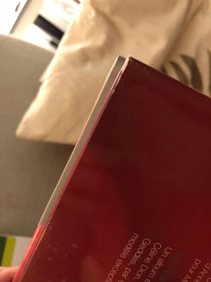 Miracle Anne gedes et Céline Dion - photo numéro 7