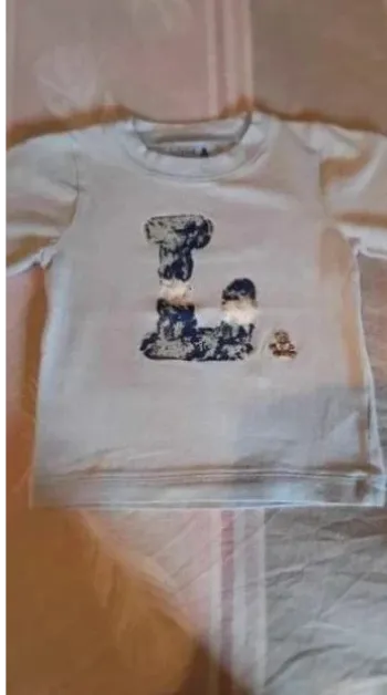 Pull  léger ou  Tee-shirt  épais  manches  longues
