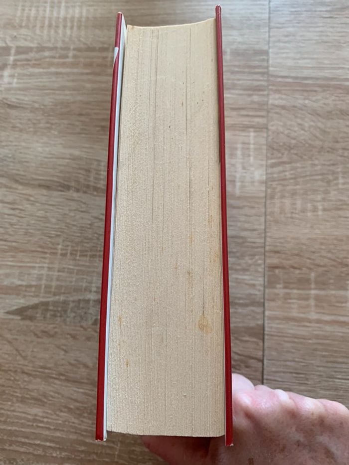 La consolante - photo numéro 5