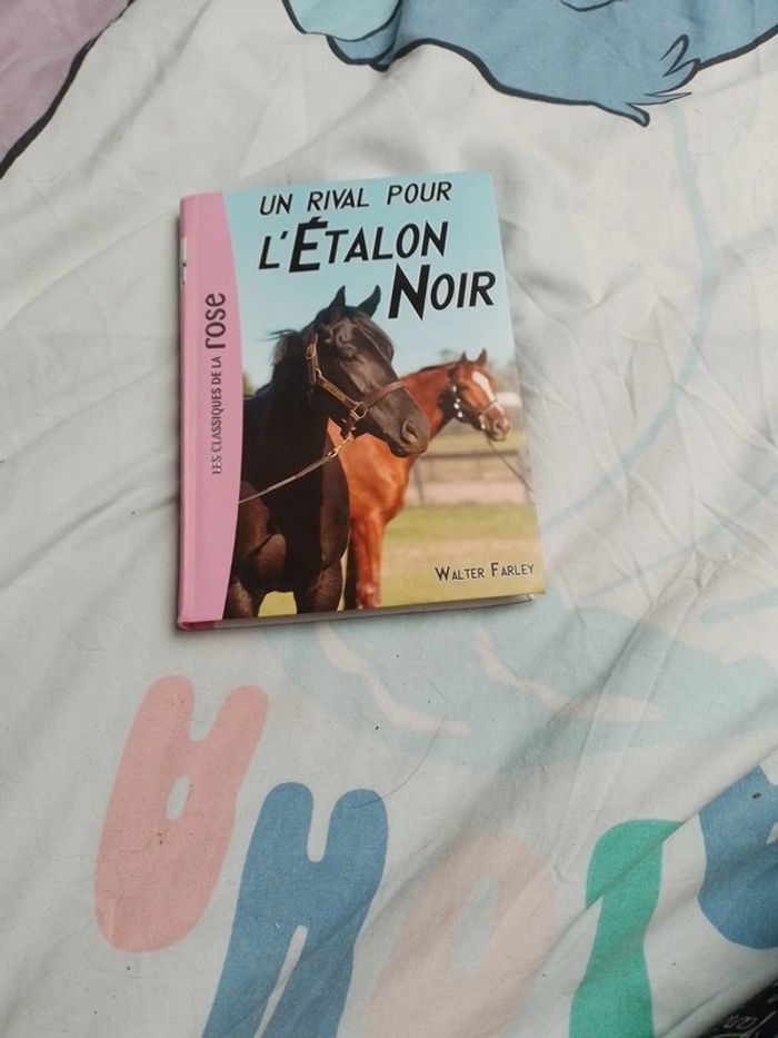 Un rival pour l'étalon noir