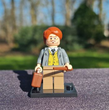 Minifigure Harry Potter  Remus John Lupin