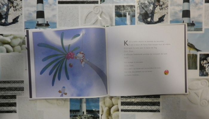 L'île des nez bleus Kali et le terrible volkrok - photo numéro 3