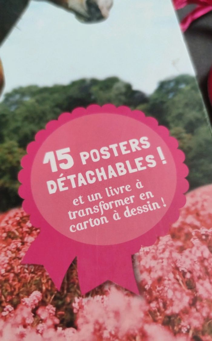 Livre posters mes plus belles histoires de chevaux - photo numéro 6