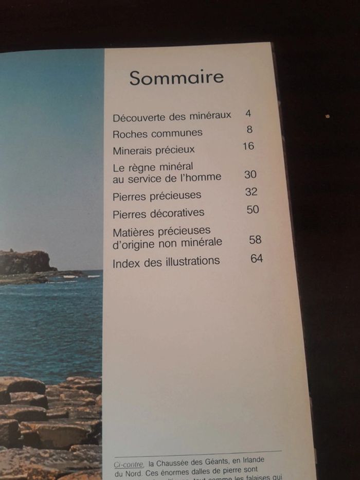 Livre les minéraux - photo numéro 2