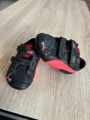 Basket puma