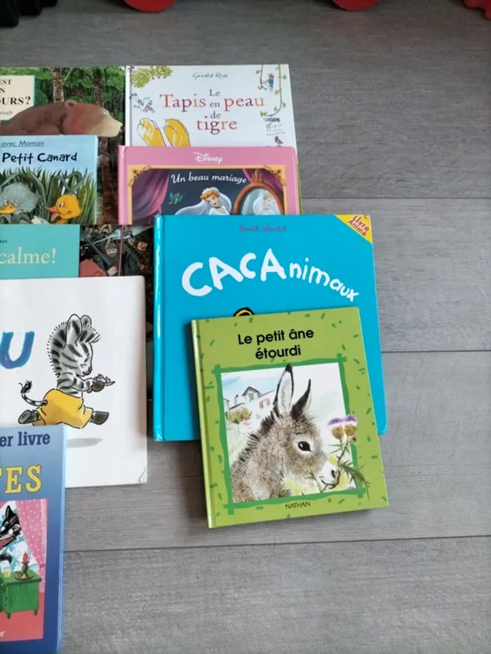 Lot livres enfant - photo numéro 4