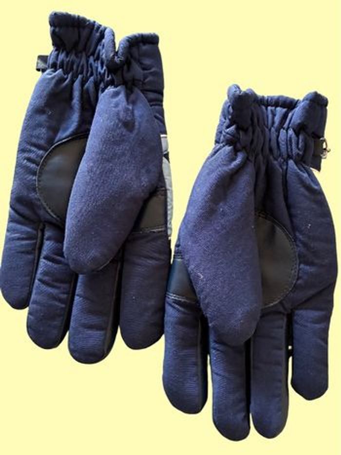 Paire de gants de skis bleus - photo numéro 2