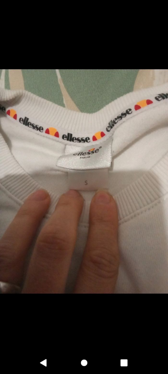 Pull ado - photo numéro 4
