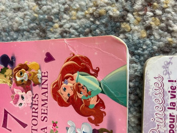 Lot 4 livres princesse - photo numéro 4