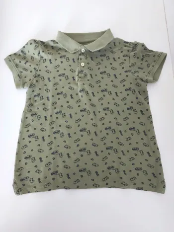 Polo dinosaure