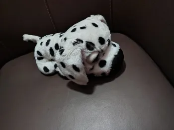 Peluche Big Headz CHIEN noir blanc Dalmatien - Artlist International