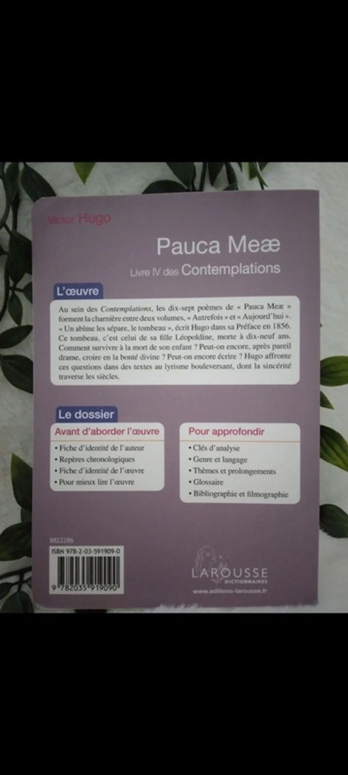 🌸Livre Pauca Meae de Victor Hugo 🌸 - photo numéro 2