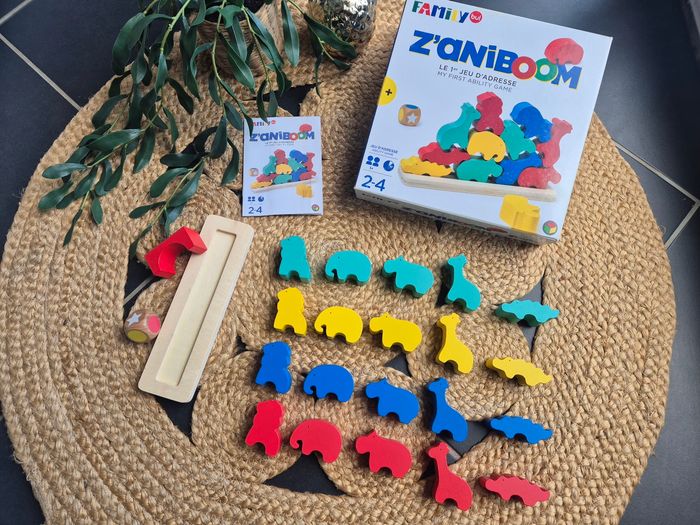 Jeu d'adresse : z'aniboom - photo numéro 3