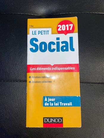 Le Petit Social 2017