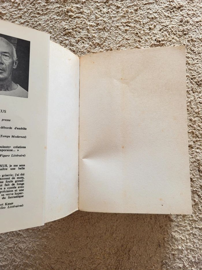 Sexus d'Henry Miller – La Crucifixion en rose – Roman autobiographique sulfureux - photo numéro 5