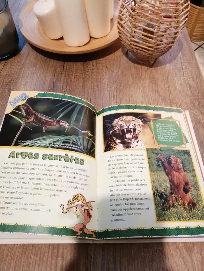 Livre Disney "Mon album 2008" - photo numéro 5