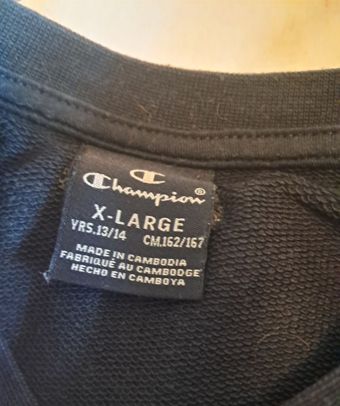 Ensemble Champion en 13/14 ans - photo numéro 5