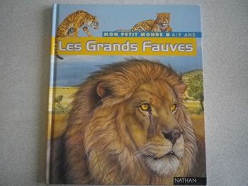 LES GRANDS FAUVES