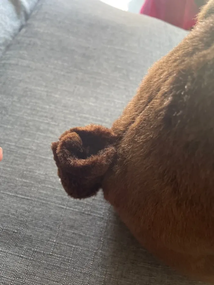 Peluche ourse - photo numéro 2