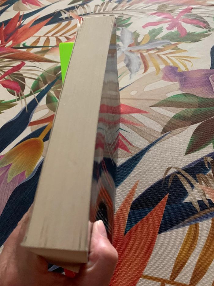 Richard Hawke “Impossible à lâcher Michael Connely “ La peau du diable - photo numéro 5