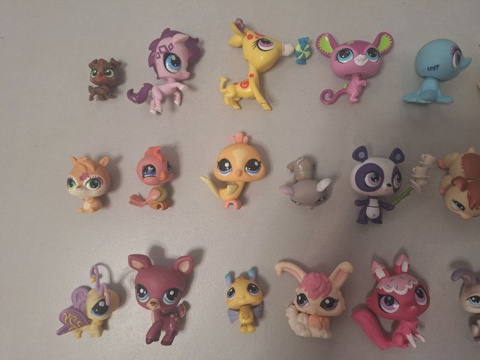Lot 34 petshop - photo numéro 3
