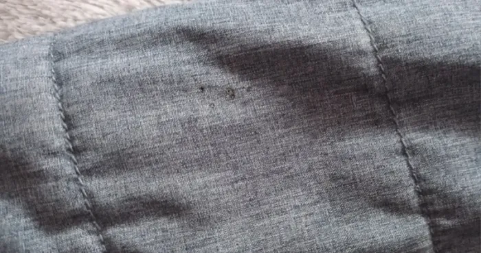 Blouson garçon - photo numéro 4