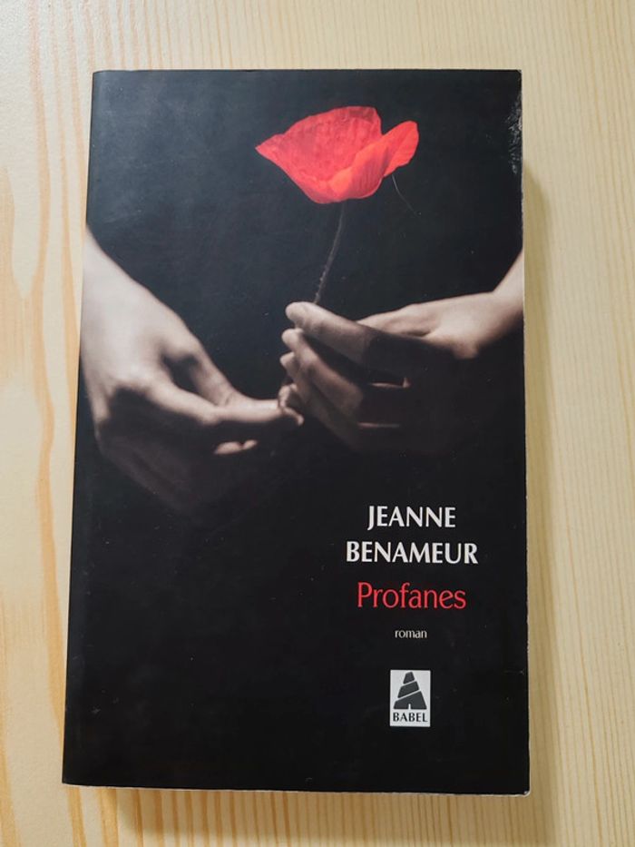 Jeanne Benameur 🌸 Profanes - photo numéro 1