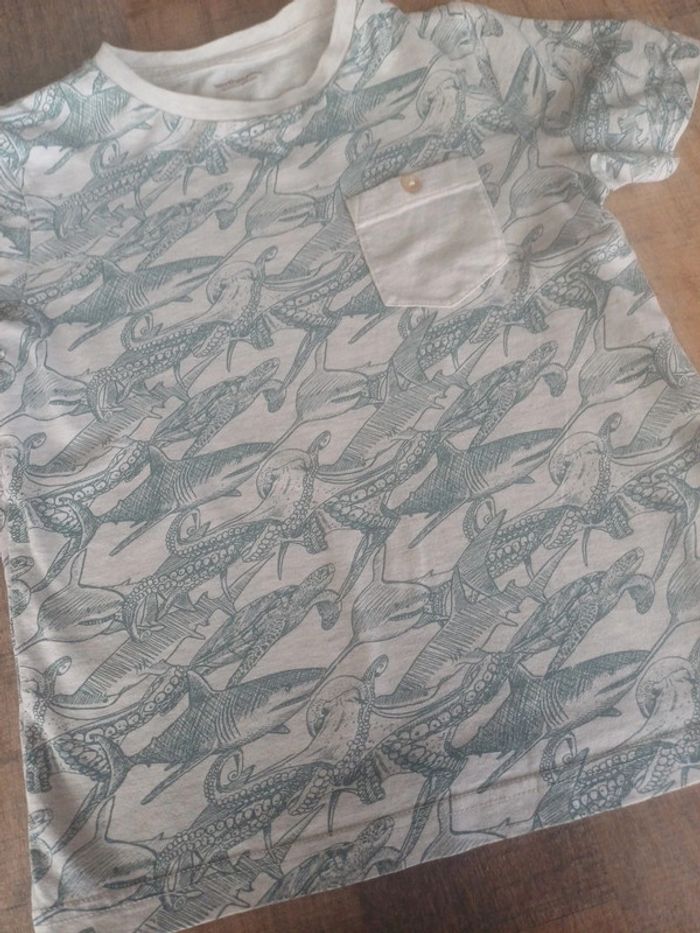 Tee-shirt 8 ans vertbaudet animaux marins - photo numéro 2