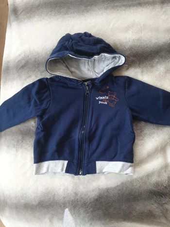 Gilet à capuche winnie l'ourson Disney 12 mois