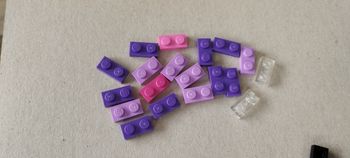 Lot de plaque 1x2 3023 lego 
