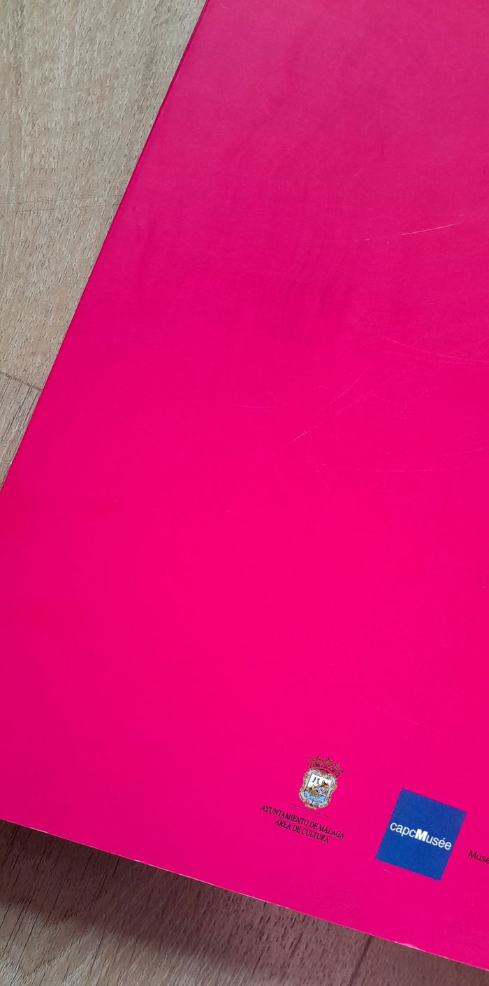 Agatha Ruiz de la Prada styliste 1981-2000 - photo numéro 4