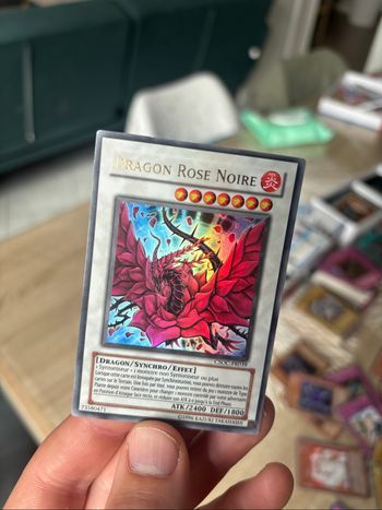 Dragon Rose Noire (UR) csoc-fr039